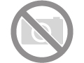 Dstt-standaard